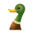 PetDuck icon